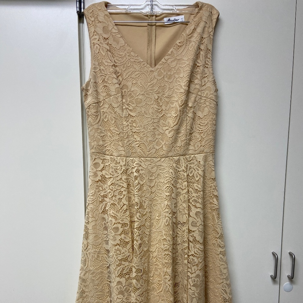 Natural Sleeveless Lace Fit & Flare Dress